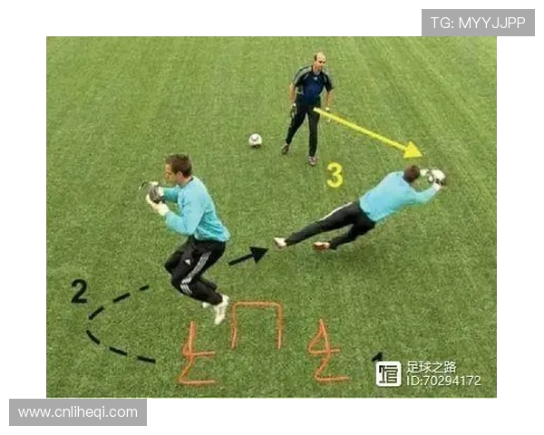 科学足球：力量训练方法