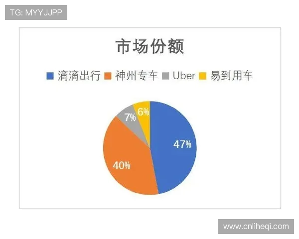 深圳足球队运营揭秘：从管理模式到市场策略的深度解析